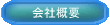 Company Profile