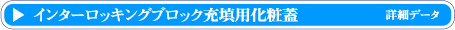 C^[bLOubN[UpϓSW@ڍ׃f[^